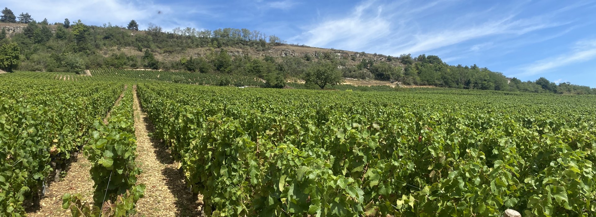 Domaine Claude Nouveau