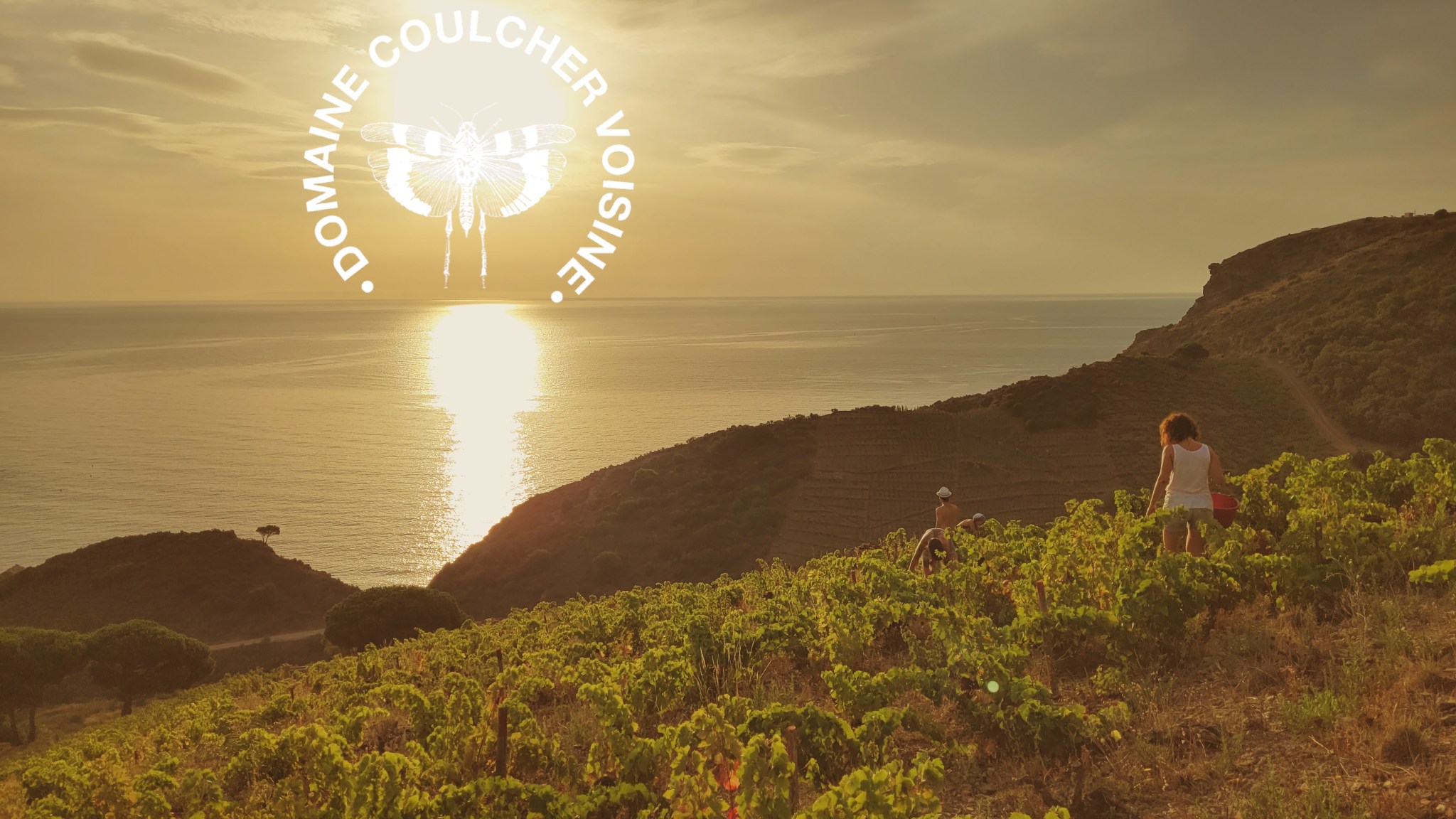 Domaine Coulcher Voisine