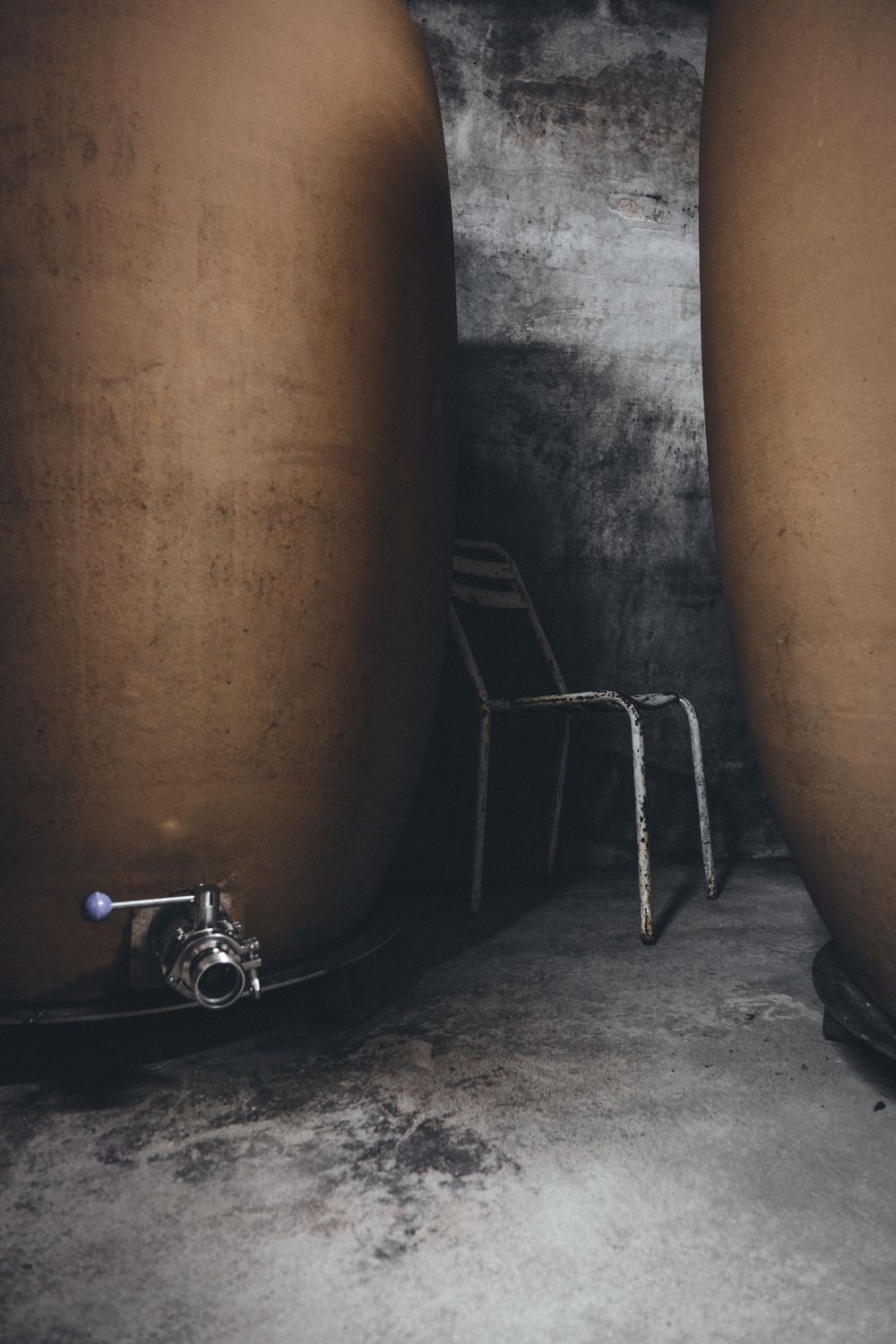 Domaine de Brin