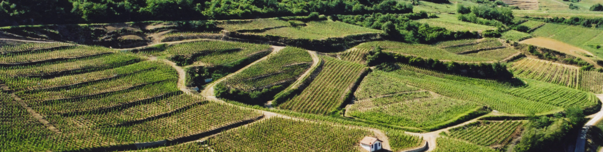 Domaine Coursodon