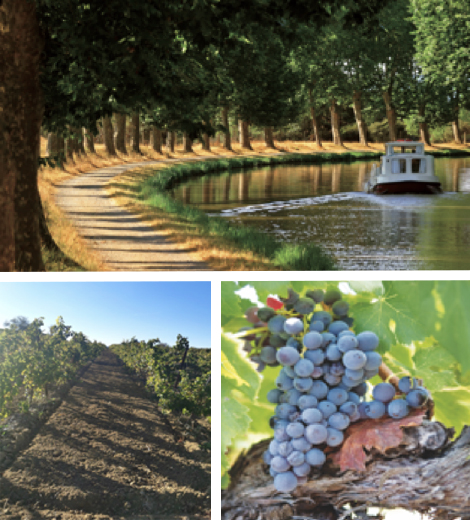 Domaine Cros Reboul