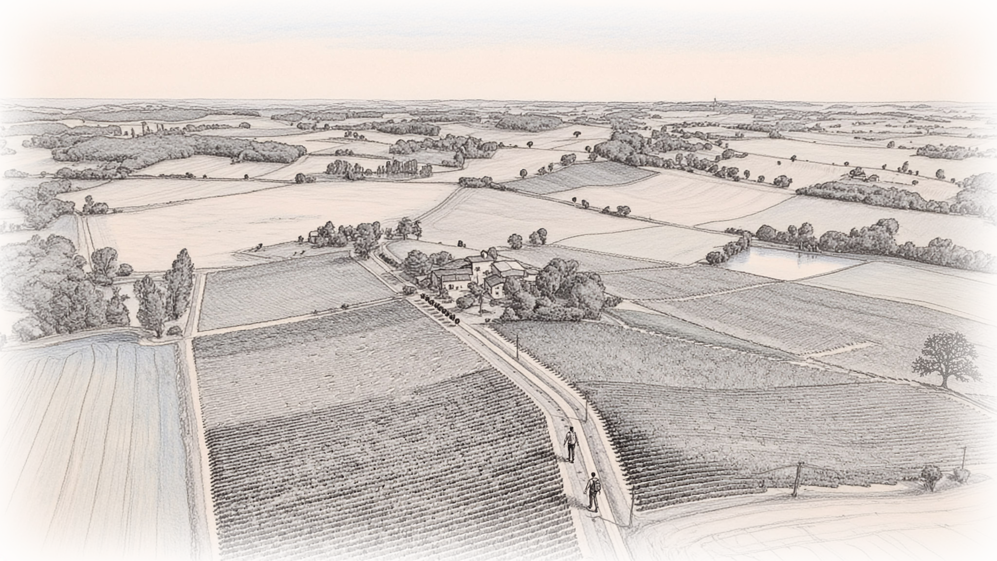 Domaine d'Embidoure