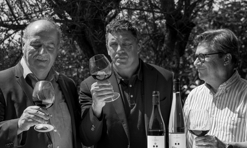 Domaine d'Olliberdie