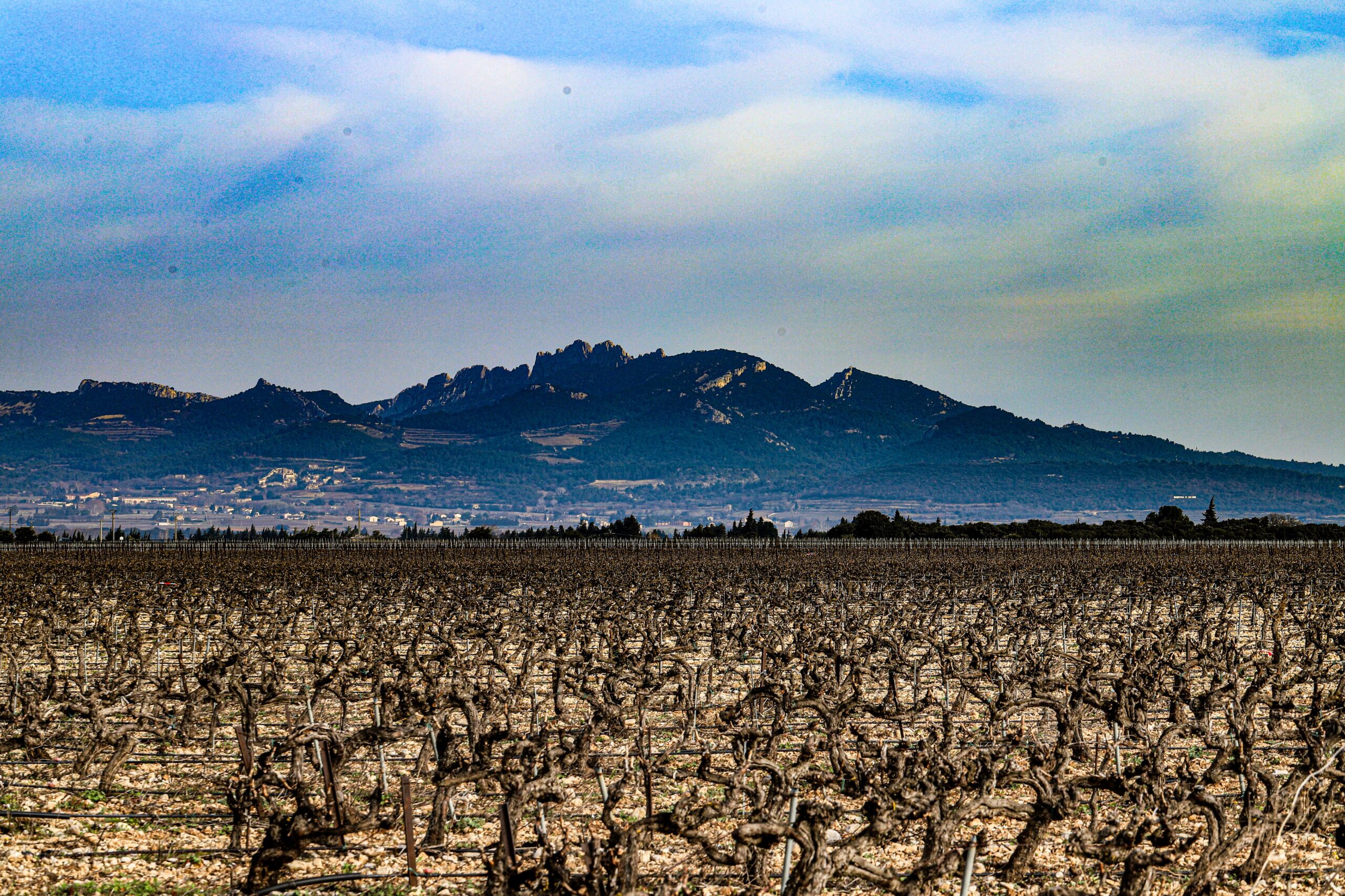 Domaine Daladier