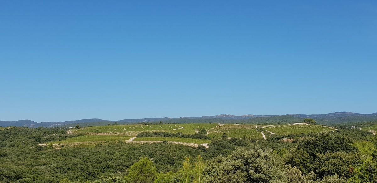 Domaine de Barroubio