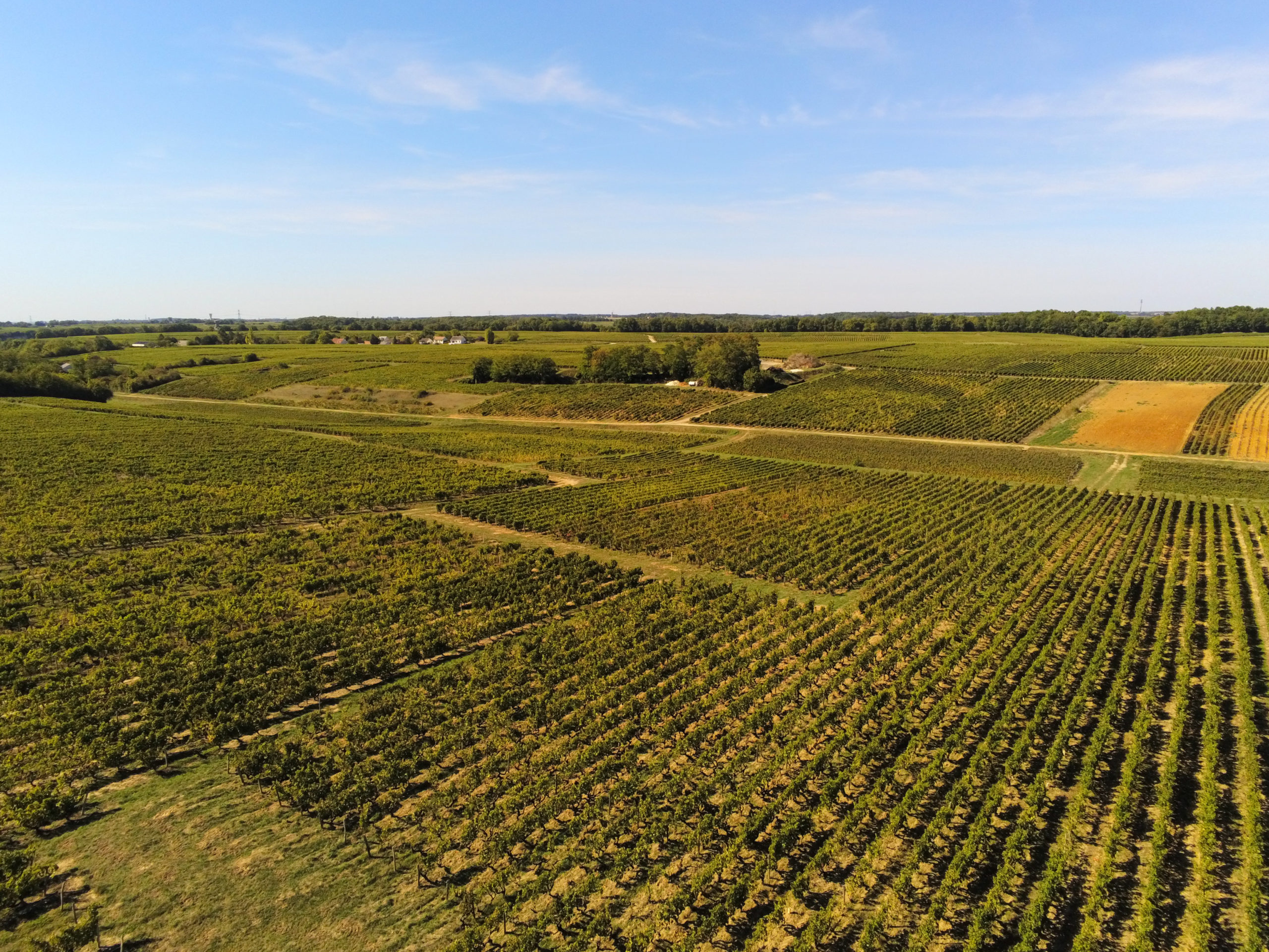 Domaine de Beauclair