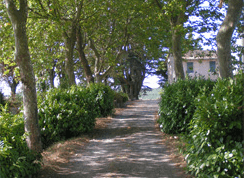 Domaine de Bosc Long