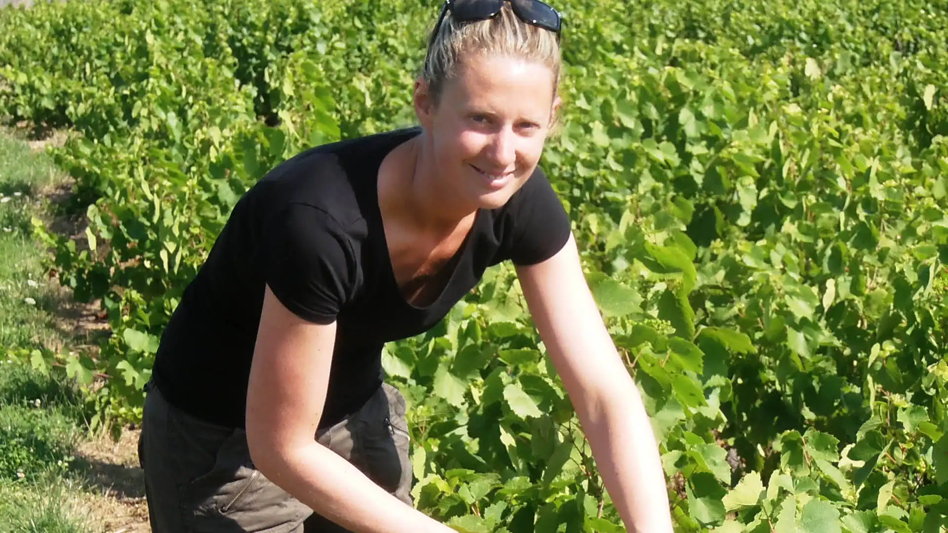 Domaine de Briante