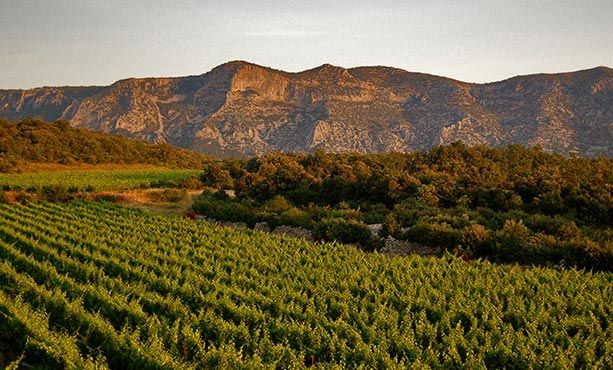 Domaine de Brunet