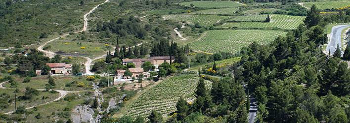 Domaine de Cantaussel