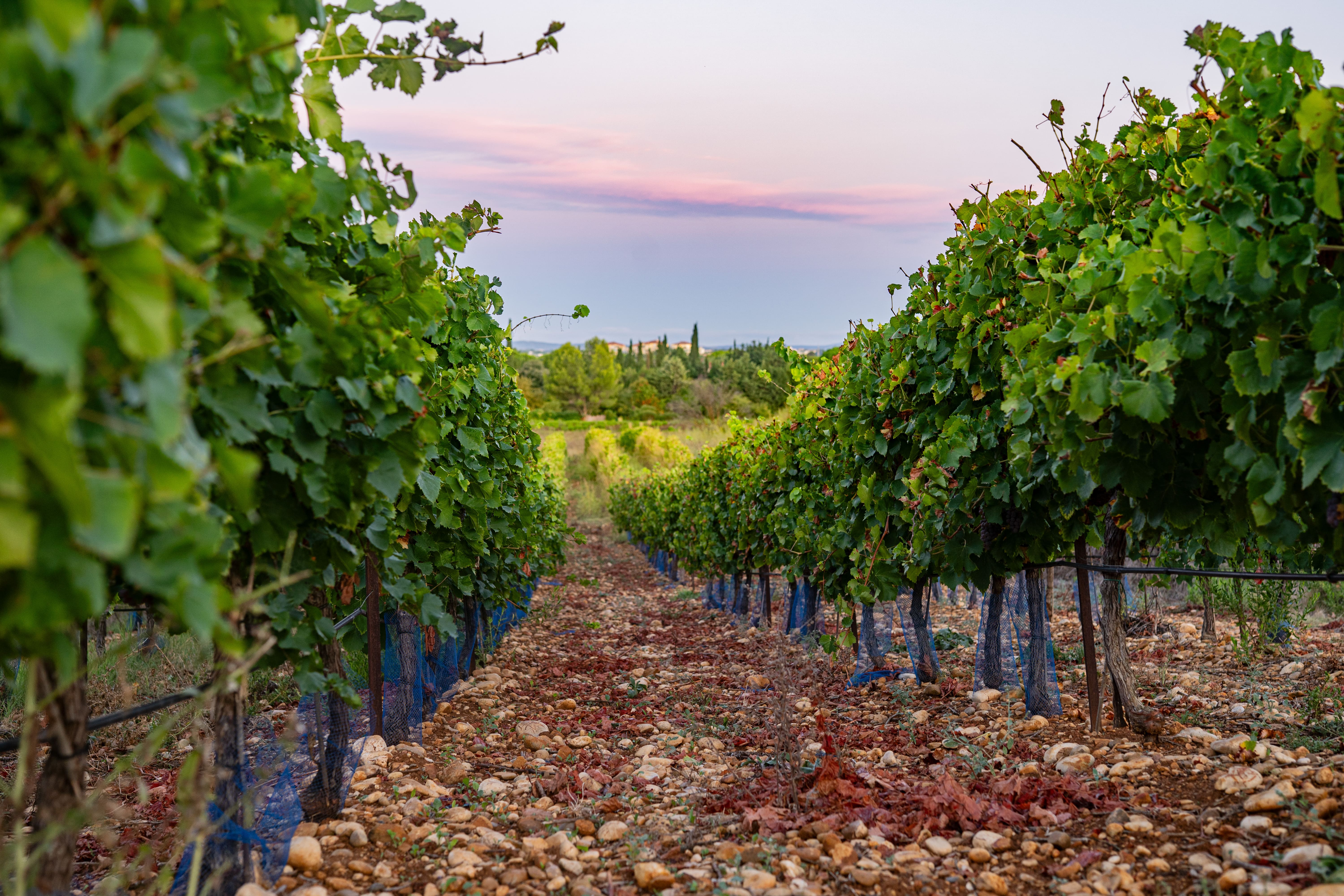 Domaine de Causse