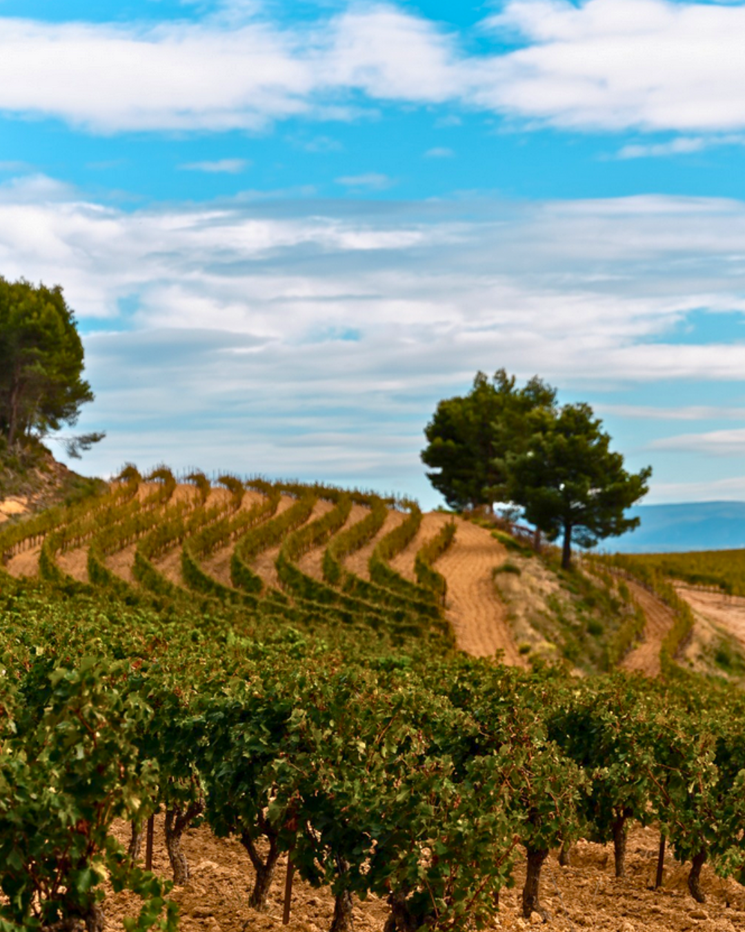 Domaine de Durban