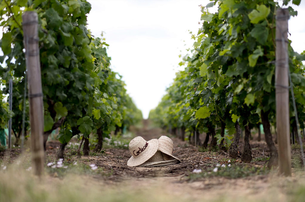 Domaine de Fleuray