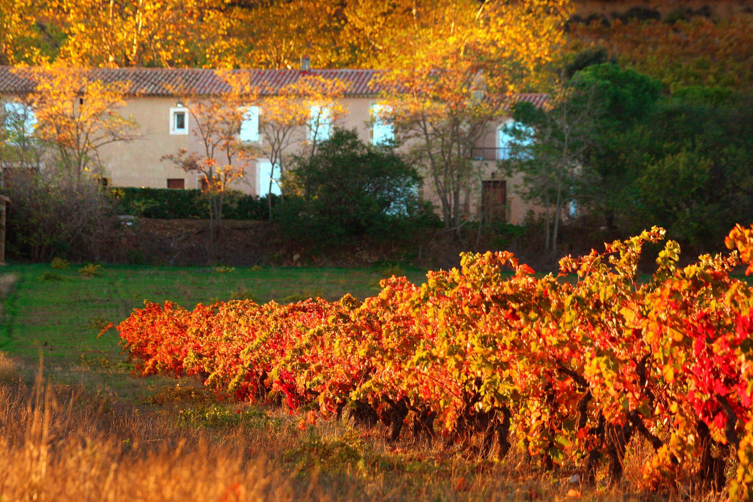 Domaine de Fontsainte