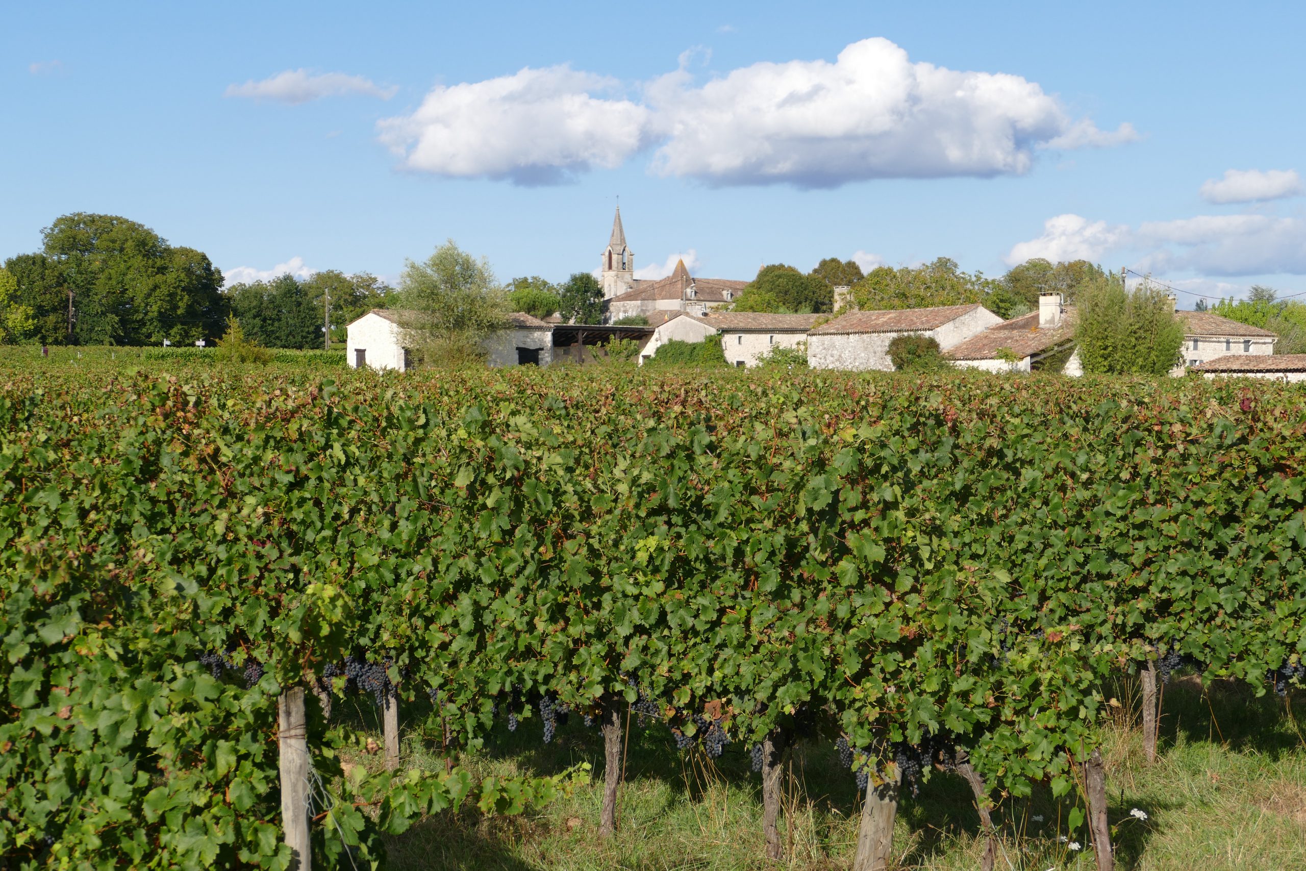 Domaine de Grimardy