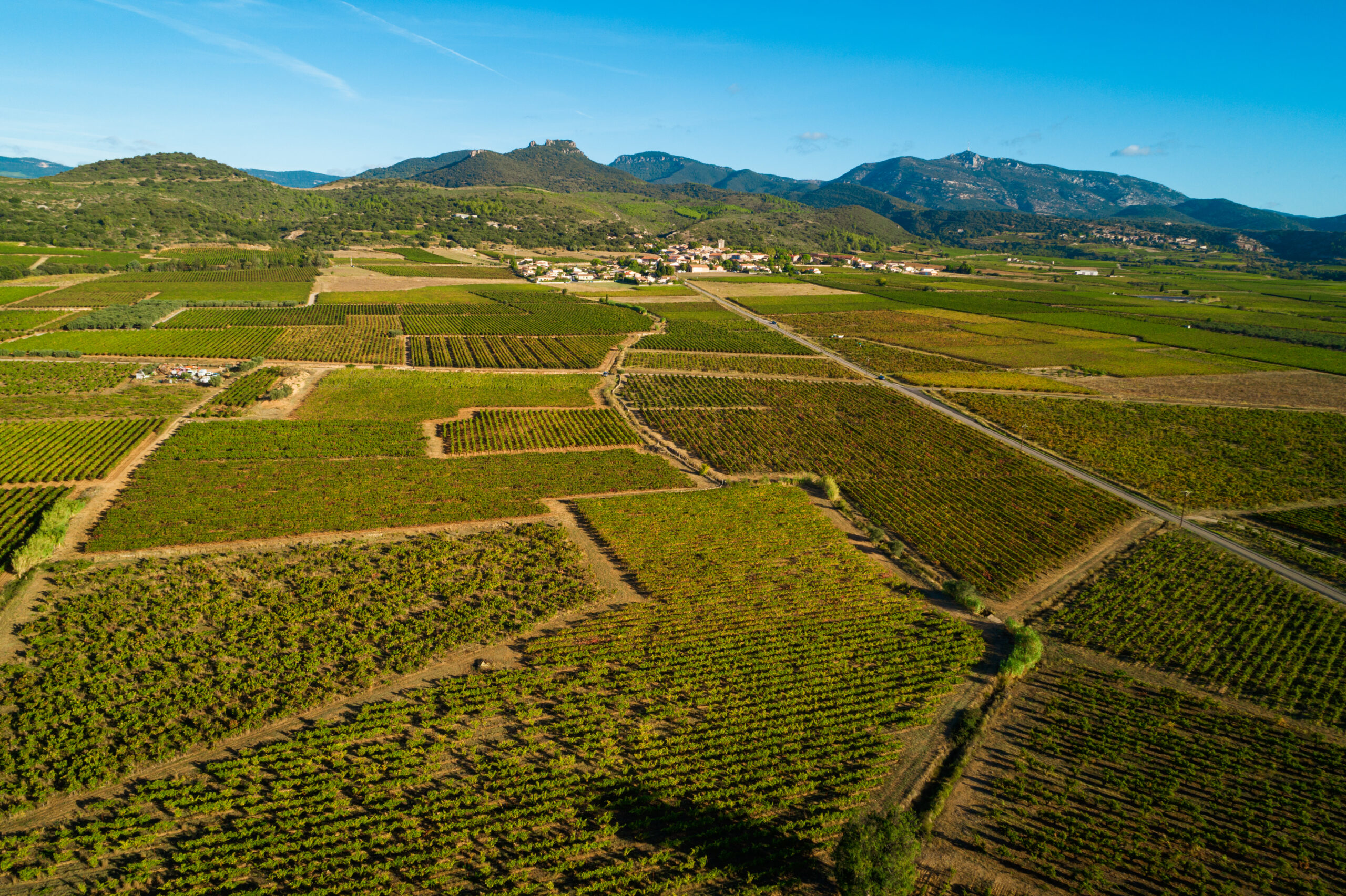 Domaine de l'Argenteille