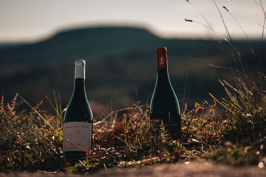 Domaine de l'Aster