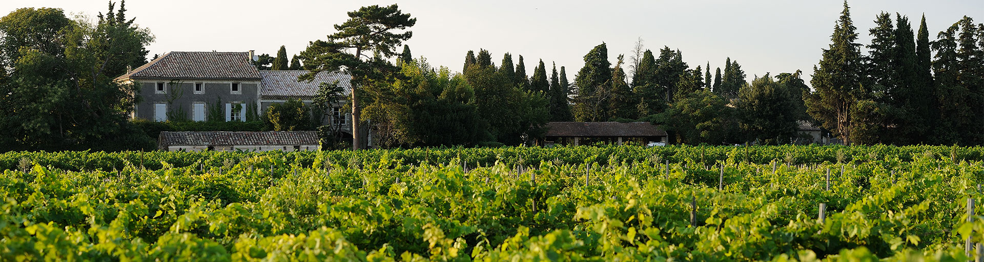 Domaine de l'Odylée