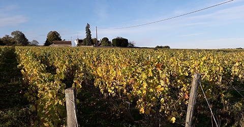 Domaine de l'Ouche Gaillard