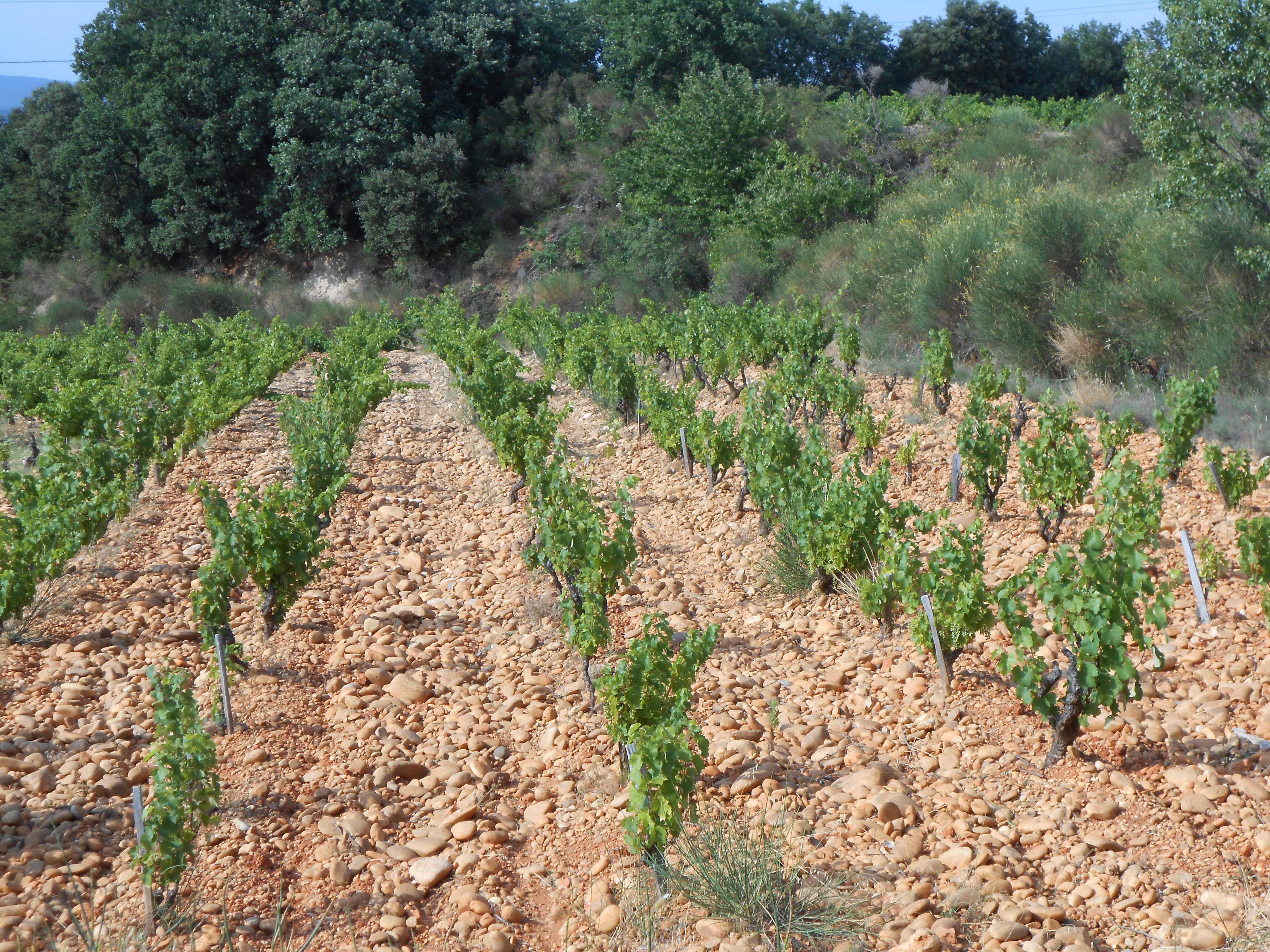 Domaine de la Biscarelle