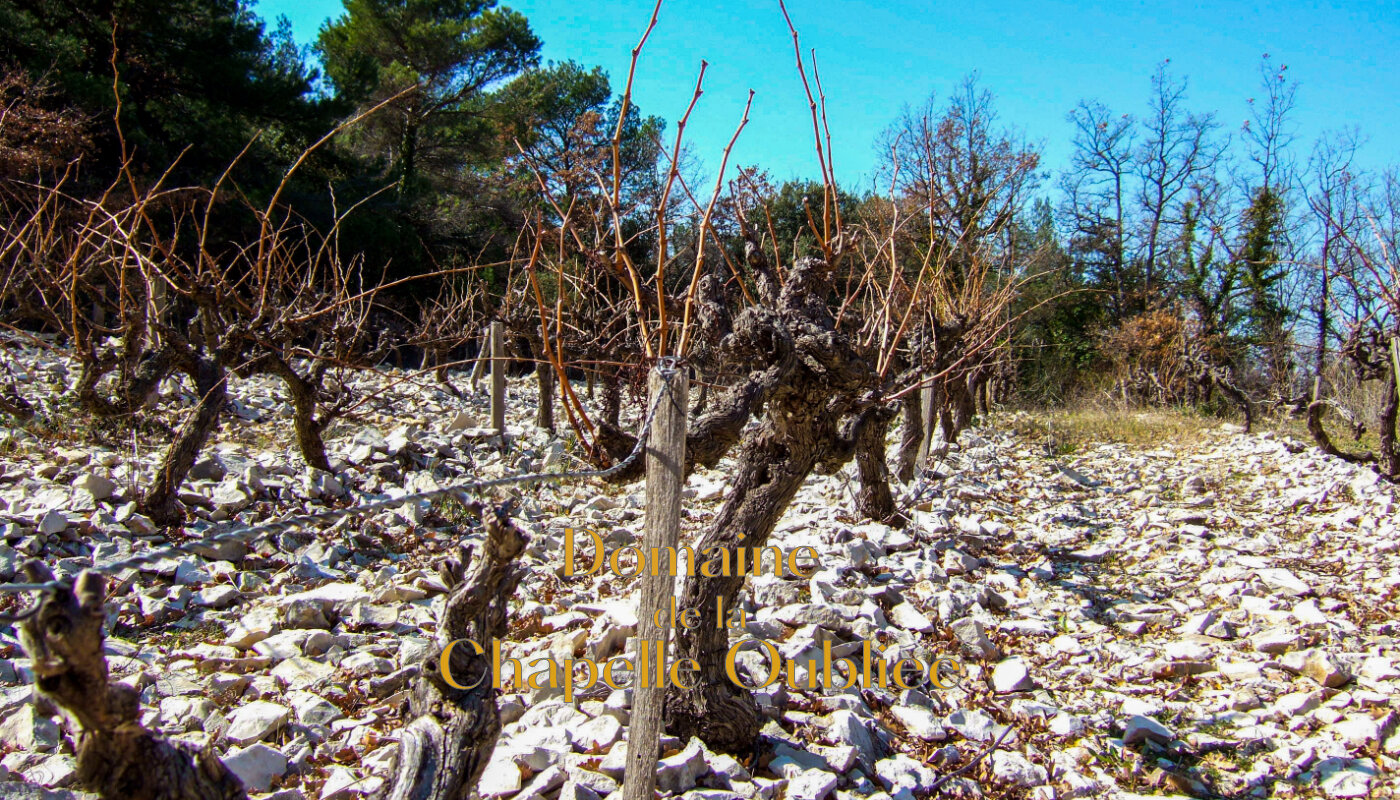 Domaine de la Chapelle Oubliee