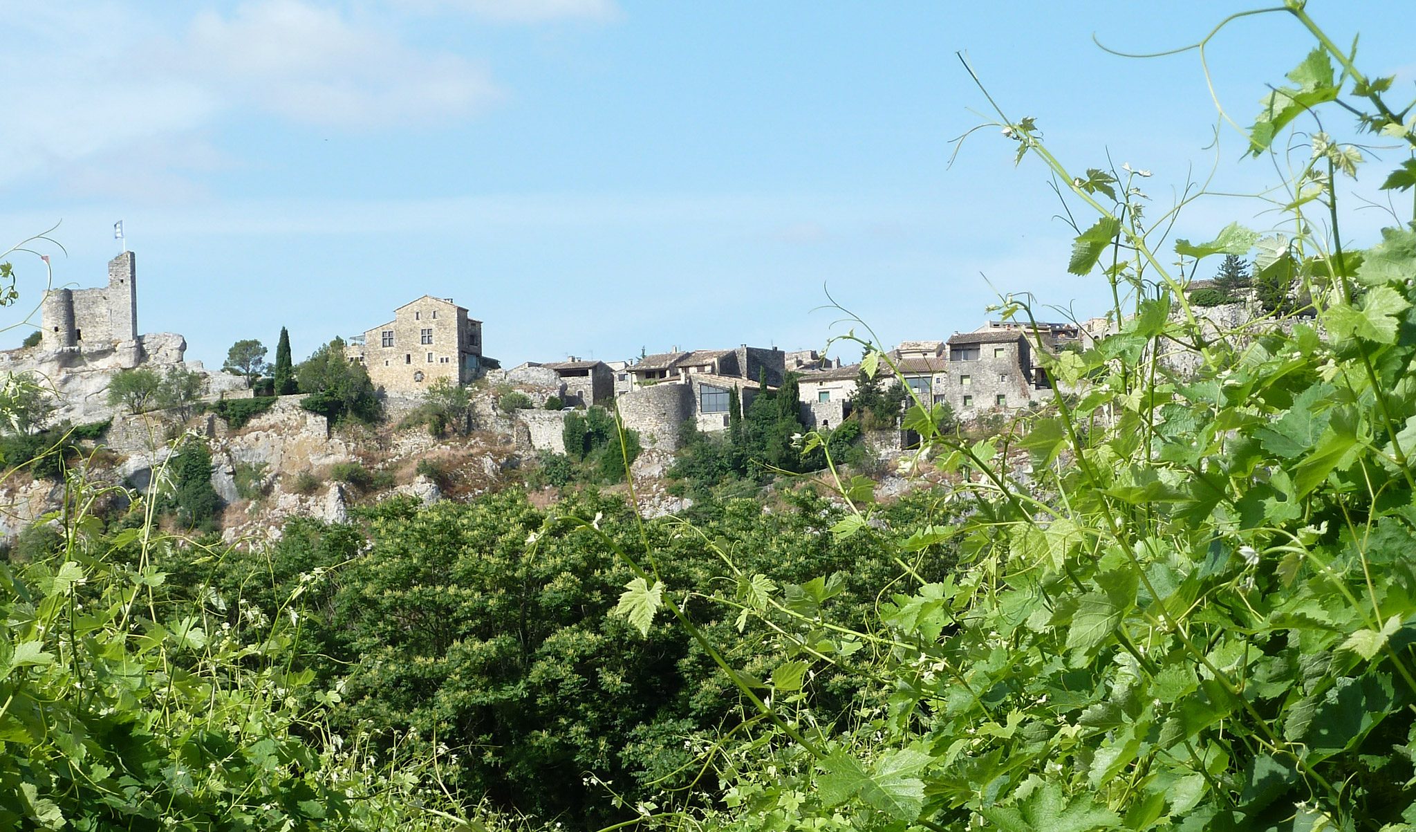 Domaine de la Croix Blanche