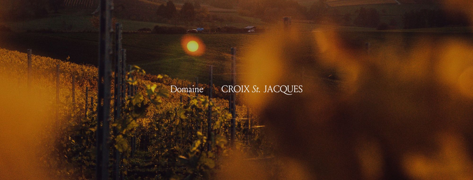 Domaine de la Croix Saint Jacques