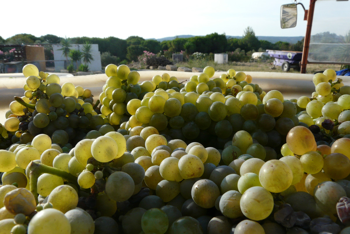 Domaine de la Croix Saint Julien