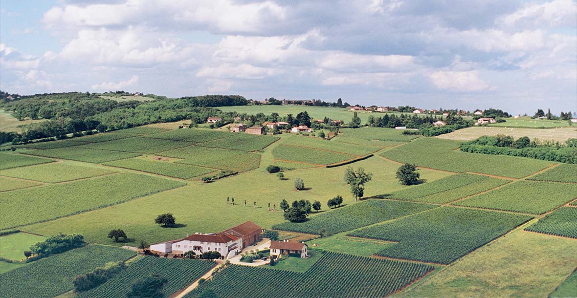 Domaine de la Feuillarde