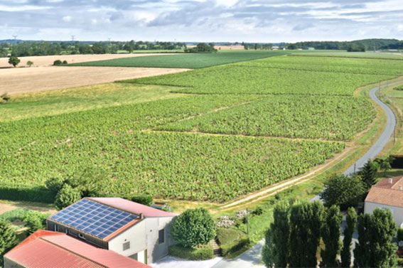 Domaine de la Garniere