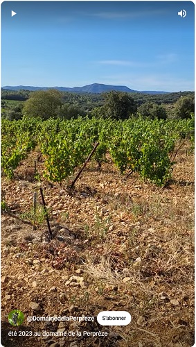 Domaine de la Perpreze