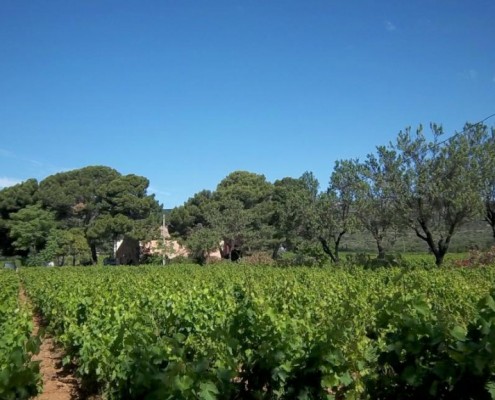 Domaine de la Plaine