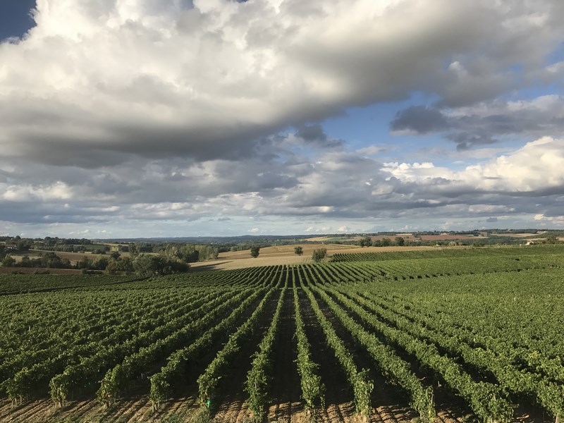 Domaine de la Poste