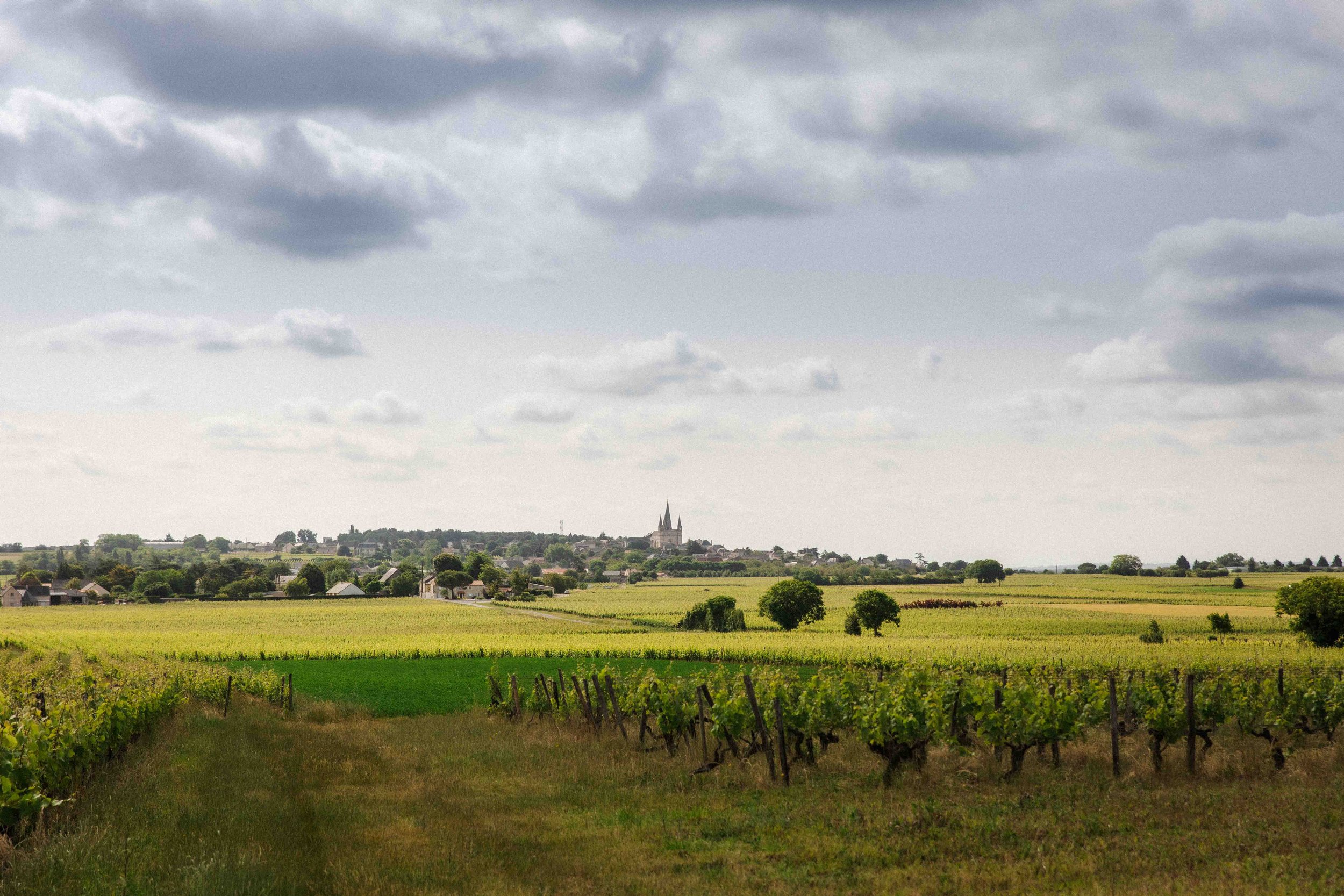 Domaine de la Reniere