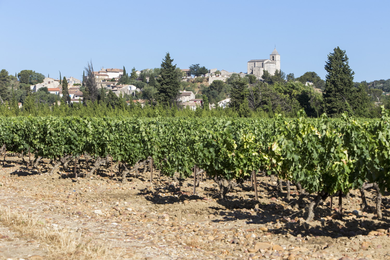Domaine de la Rouette