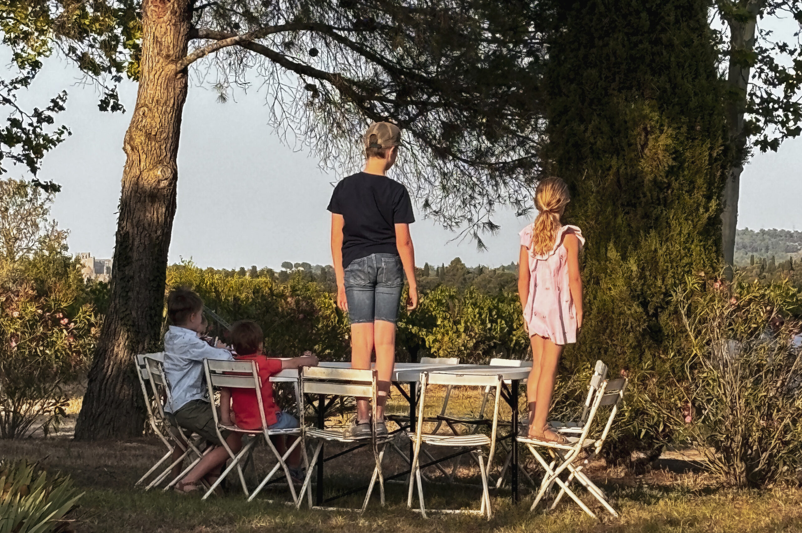 Domaine de la Sapiniere