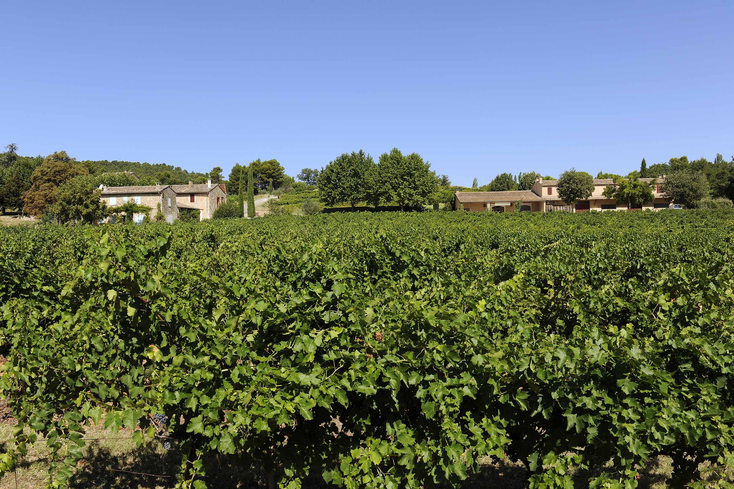 Domaine de la Verriere