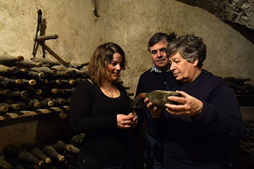 Domaine de Lascours