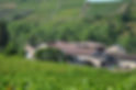 Domaine de Leyre-Loup