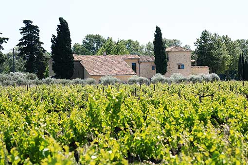 Domaine de Mas Caron