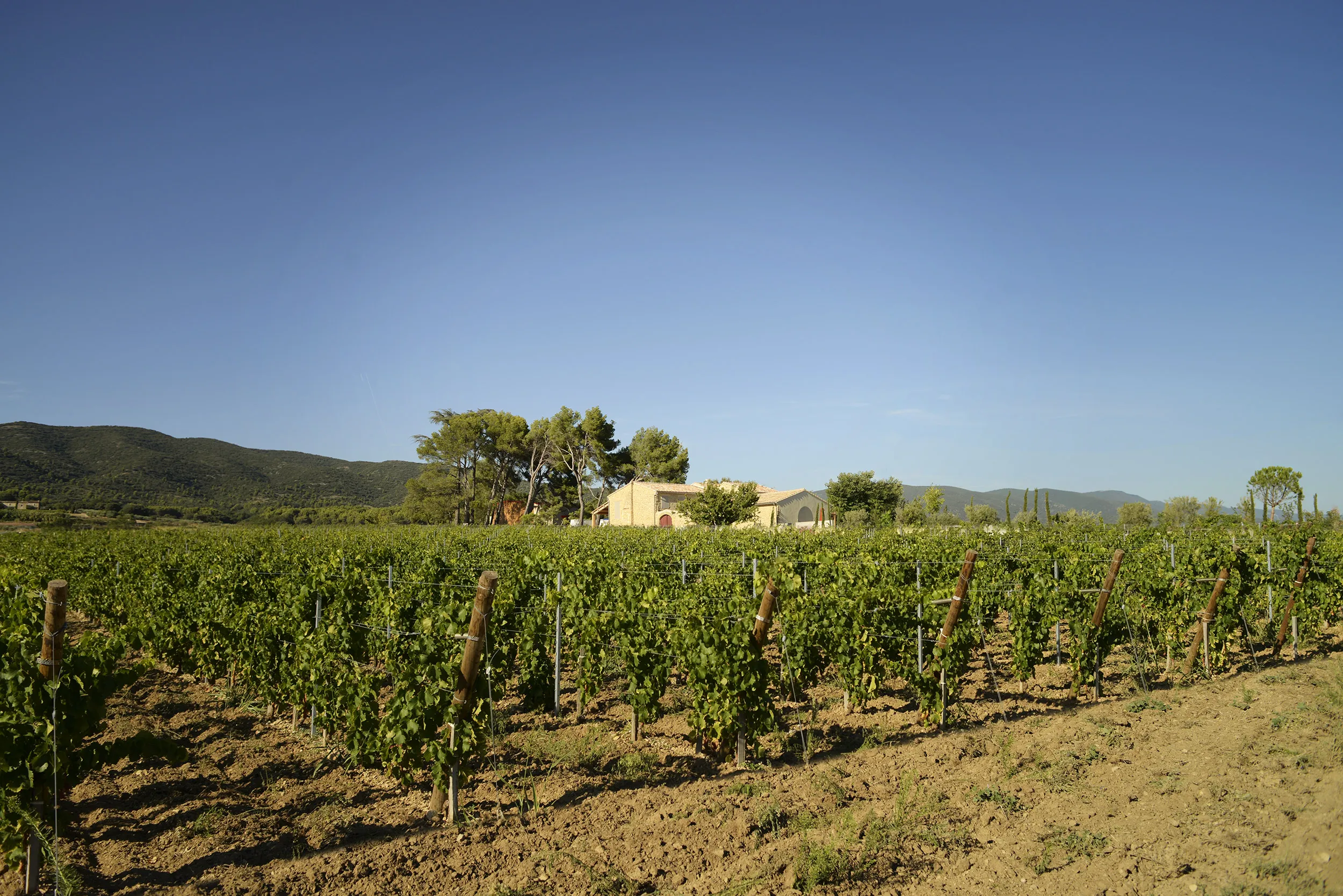 Domaine de Maslauris