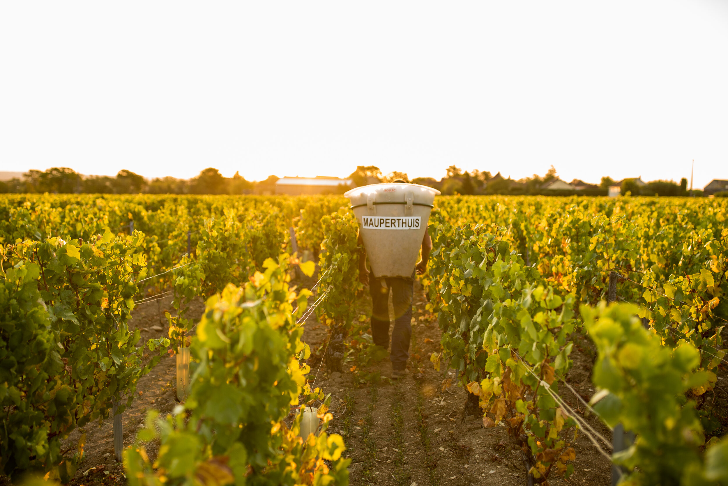 Domaine de Mauperthuis