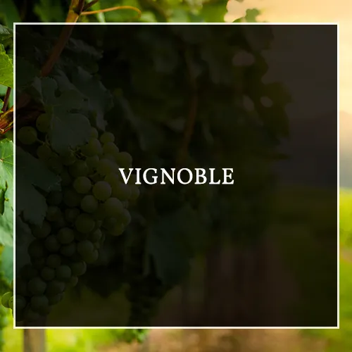 Domaine de Mont-Aigu