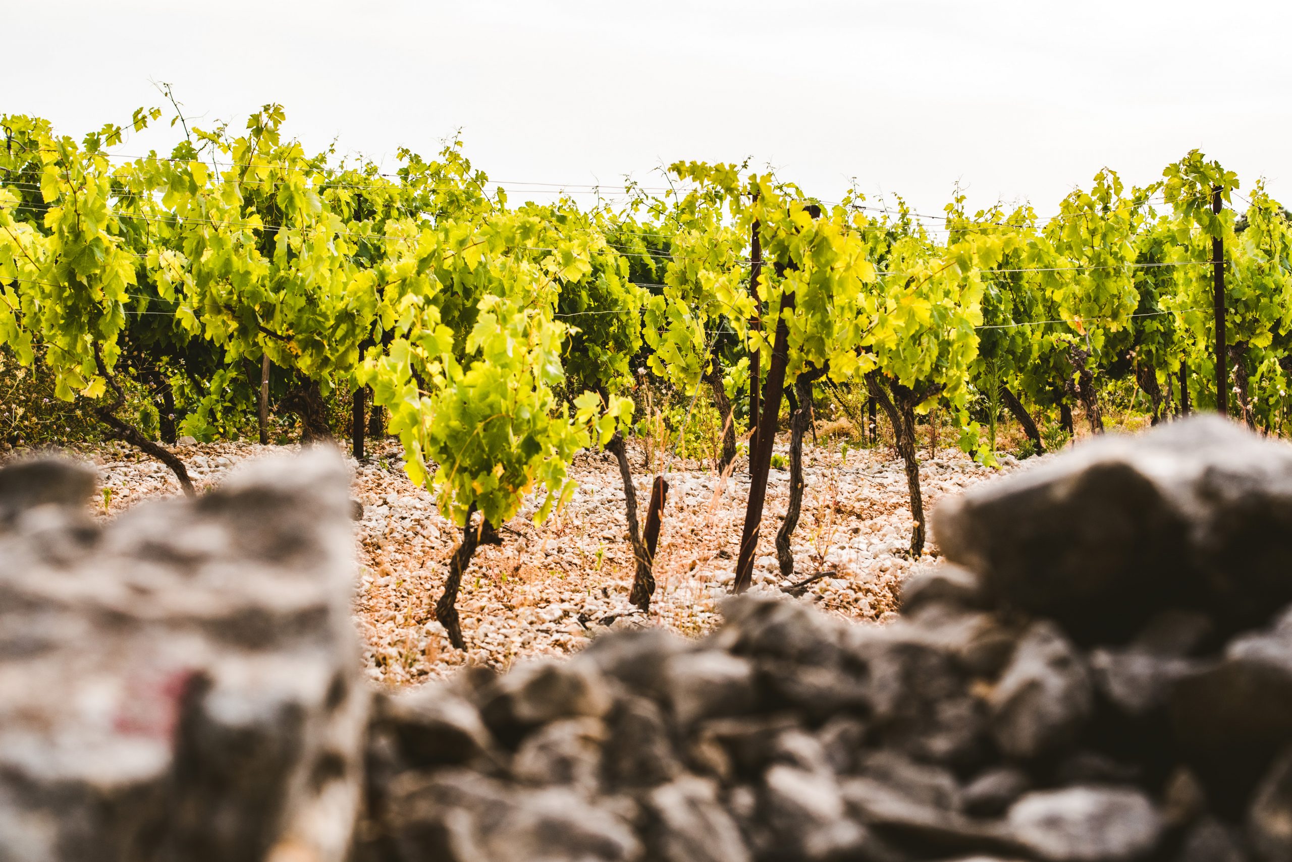 Domaine de Montahuc
