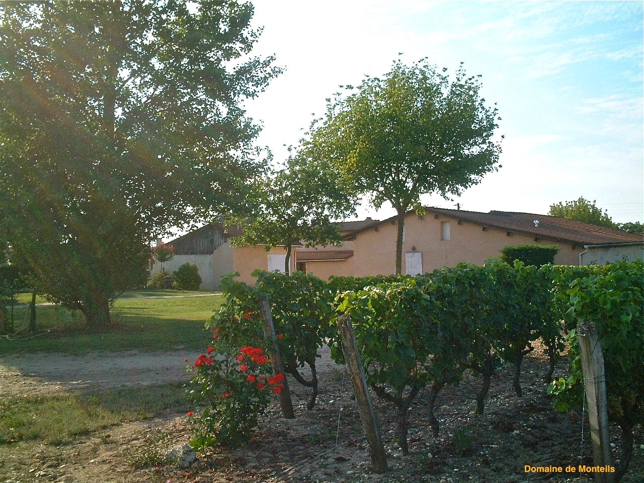 Domaine de Monteils