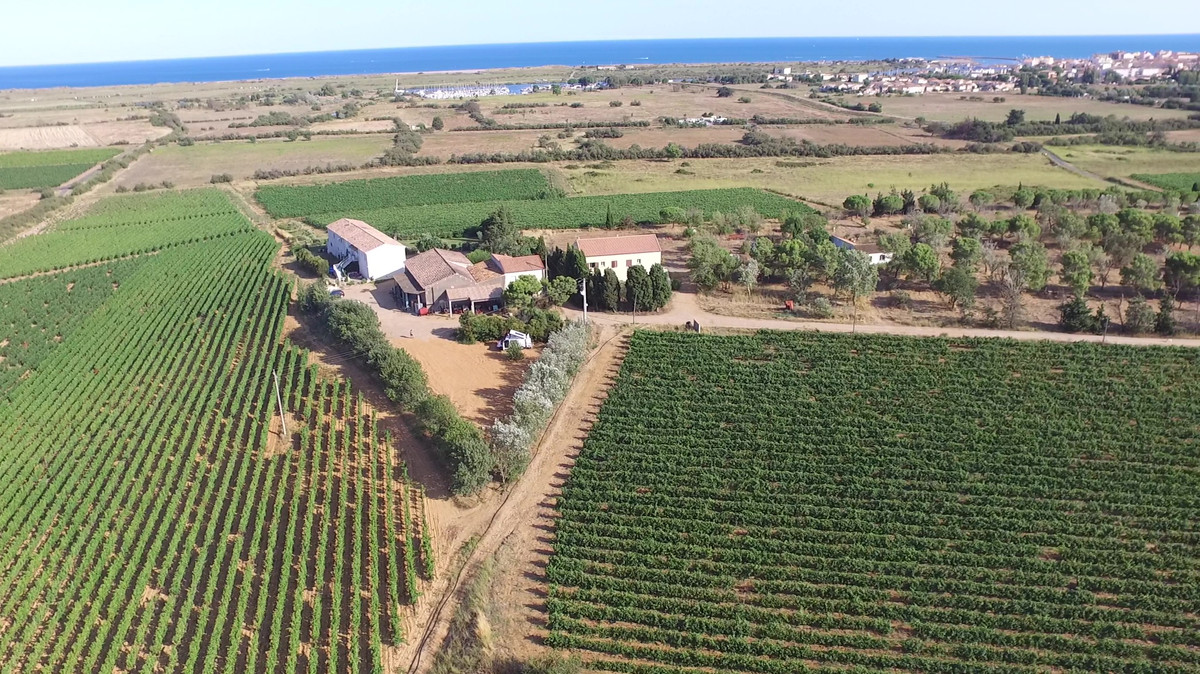 Domaine de Querelle