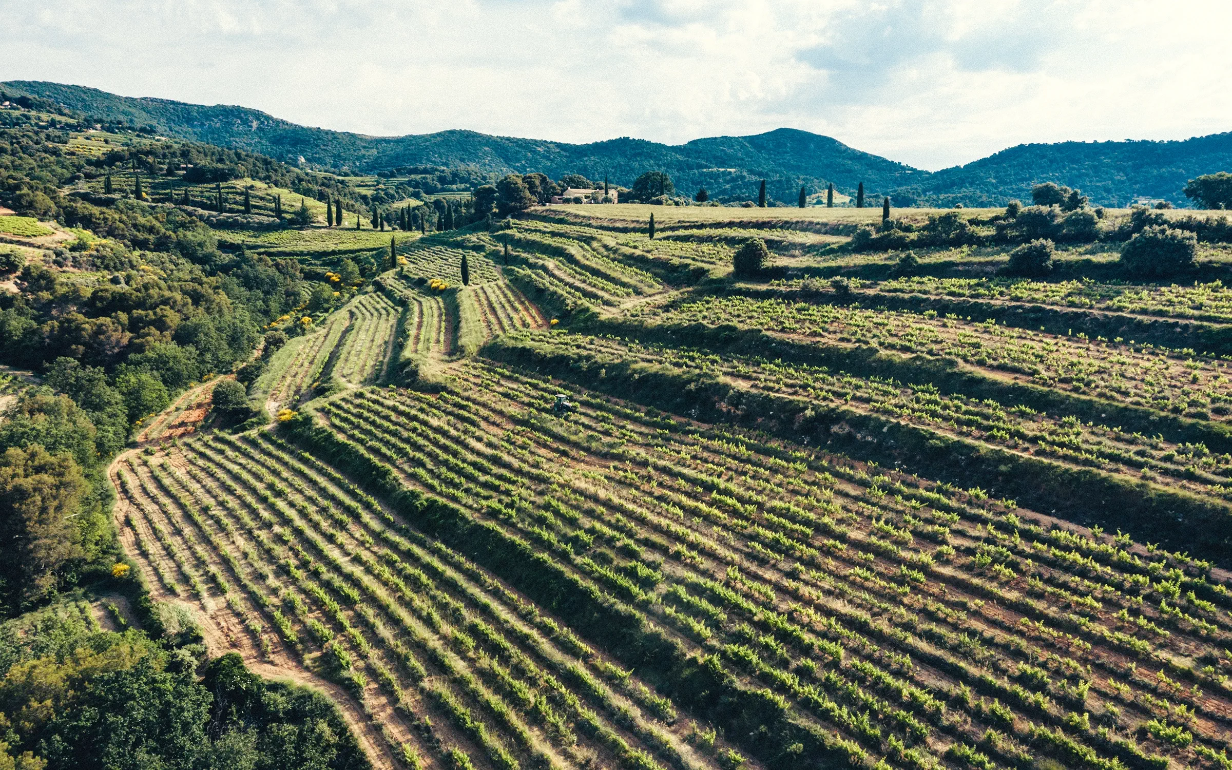 Domaine de Piéblanc