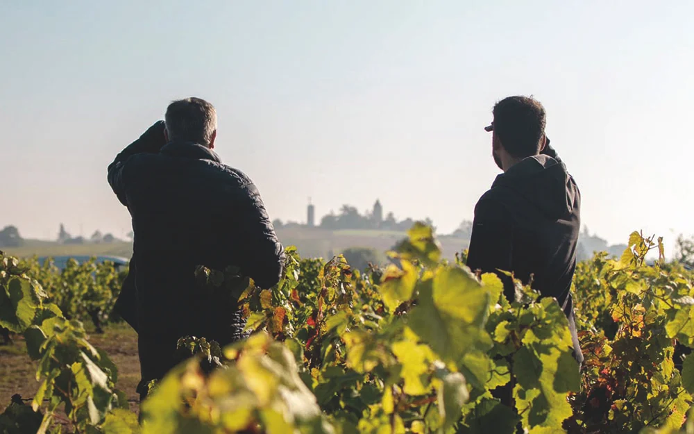 Domaine Delaunay