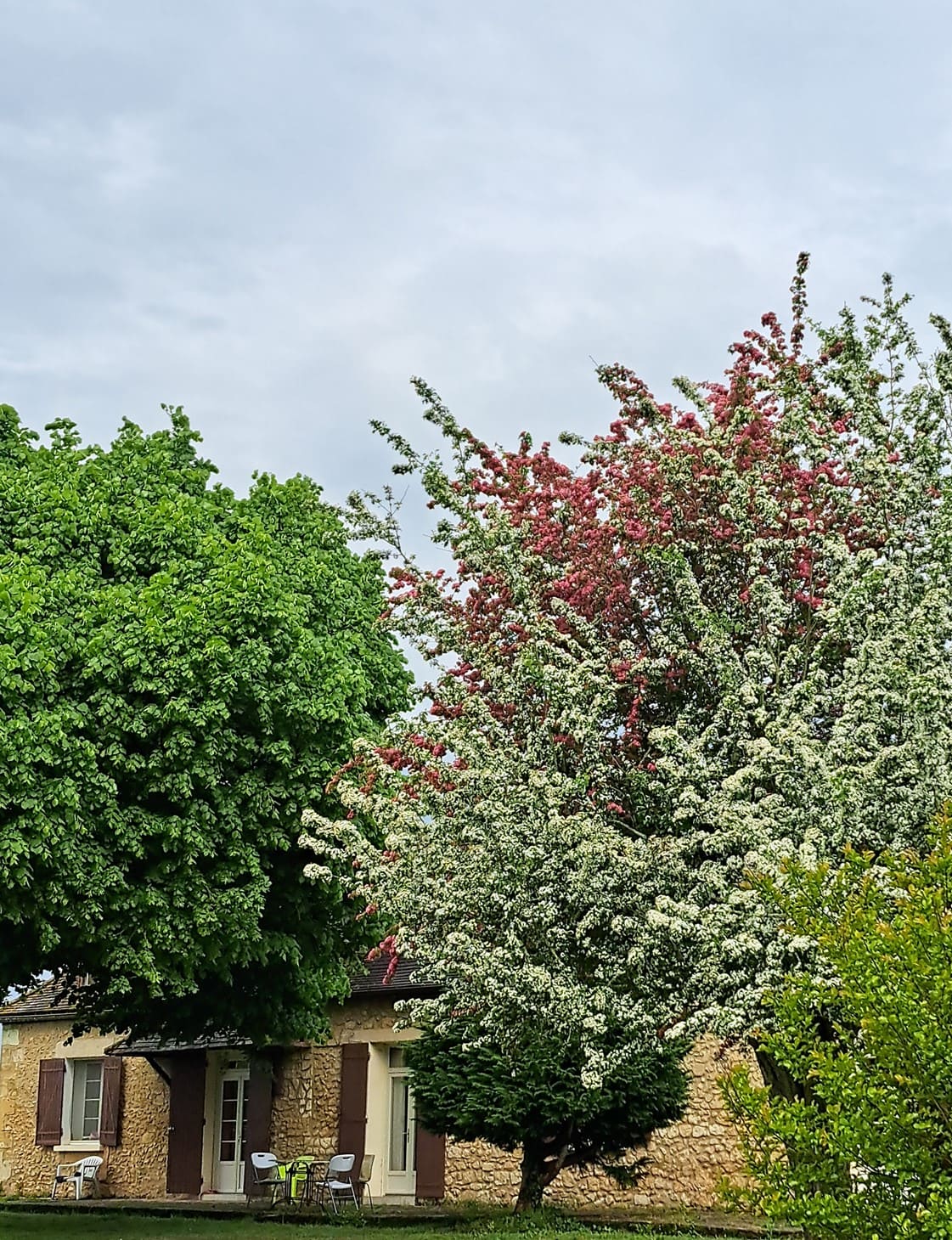Domaine de Toutifaut