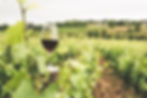 Domaine de Venus